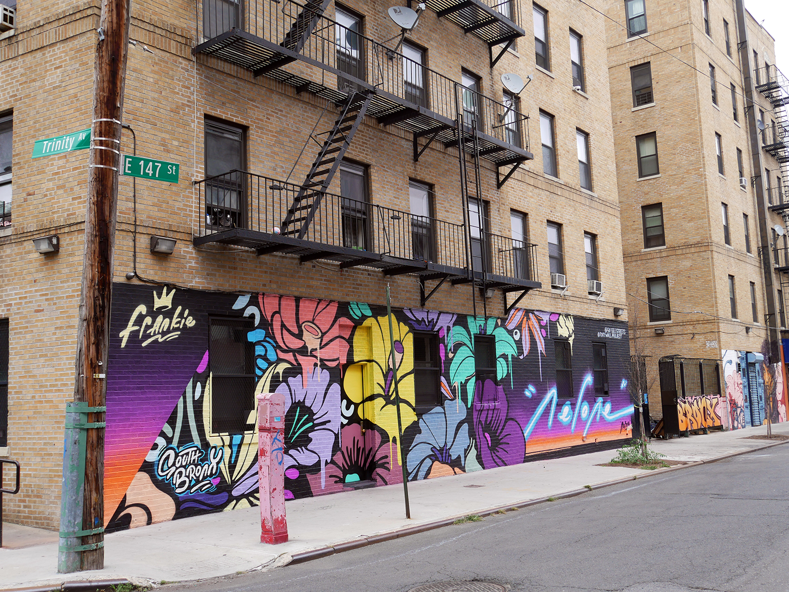 Nerone-street-art-NYC 13
